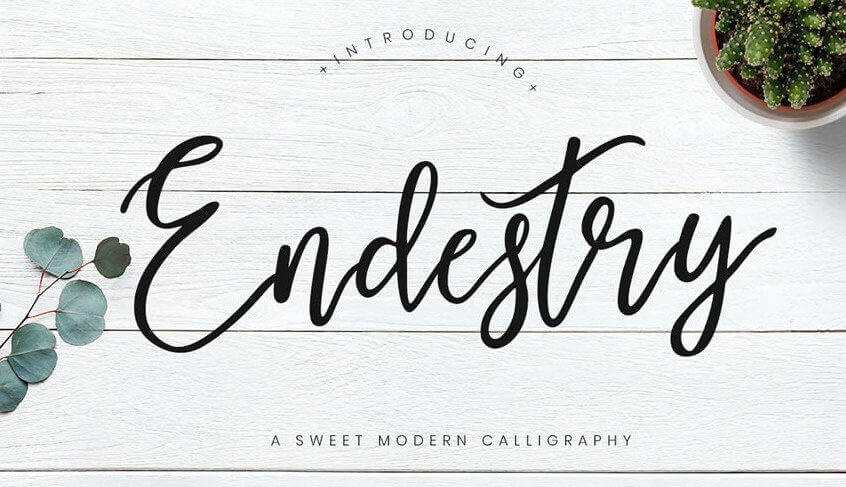 font endestry calligraphy mềm mại