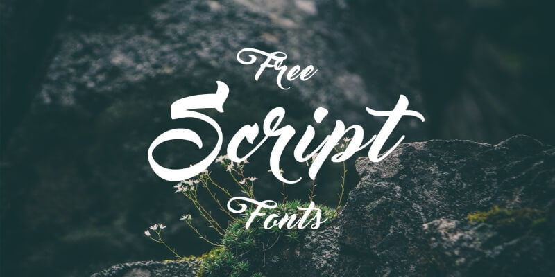 Tải Font Script Việt Hóa Kiểu Viết Tay Uốn Lượn Tinh Tế