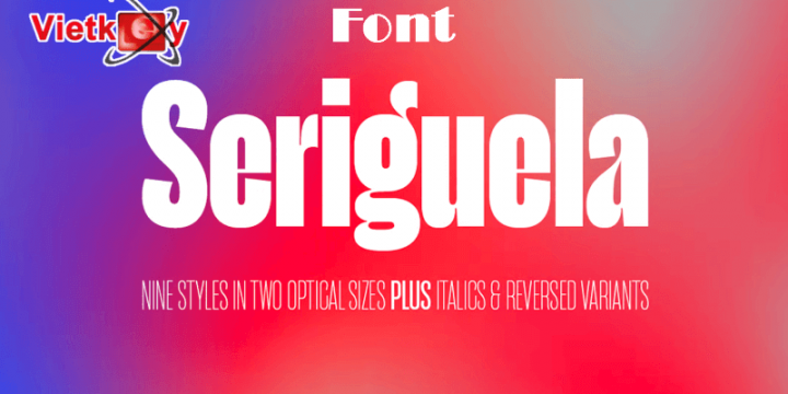 Tải Font Seriguela Family – Kiểu Chữ Sans Serif Đa Dạng Phong Cách