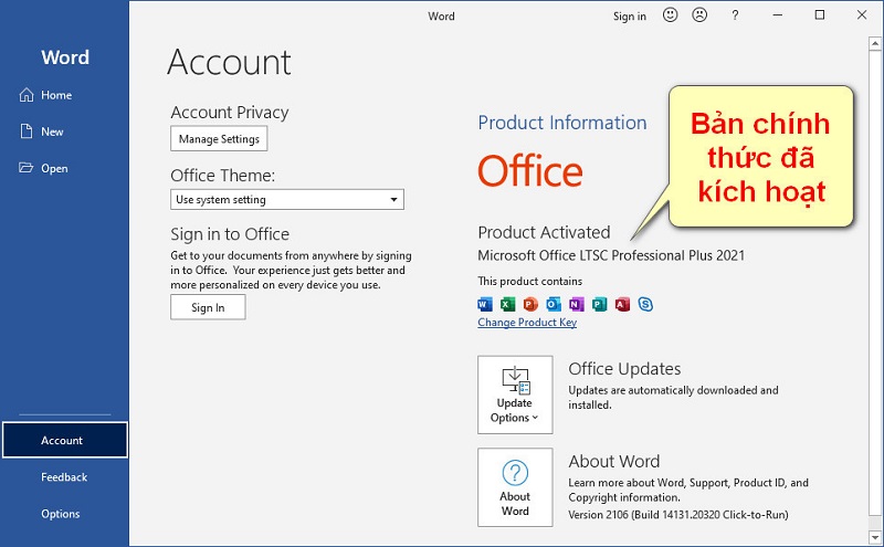 bản Office 2021 đã kích hoạt thành công