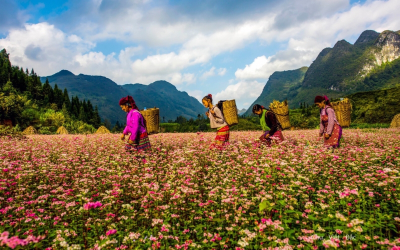 Đôi nét về Hà Giang